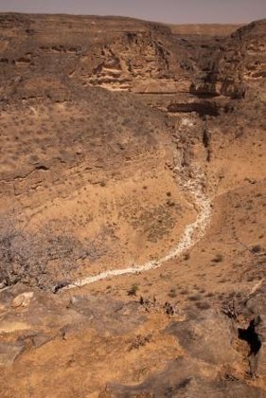 Empty Quarter & Lost City from Salalah - Key things that make this tour work