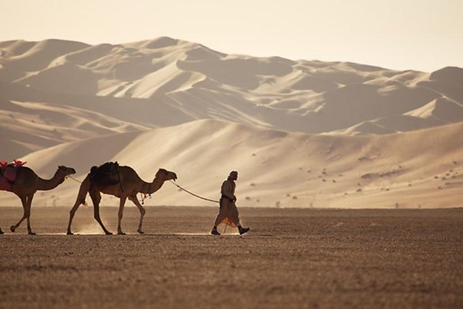 Empty Quarter & Lost City from Salalah - The Empty Quarter (Rub Al Khali): dunes that hit around 250 metres
