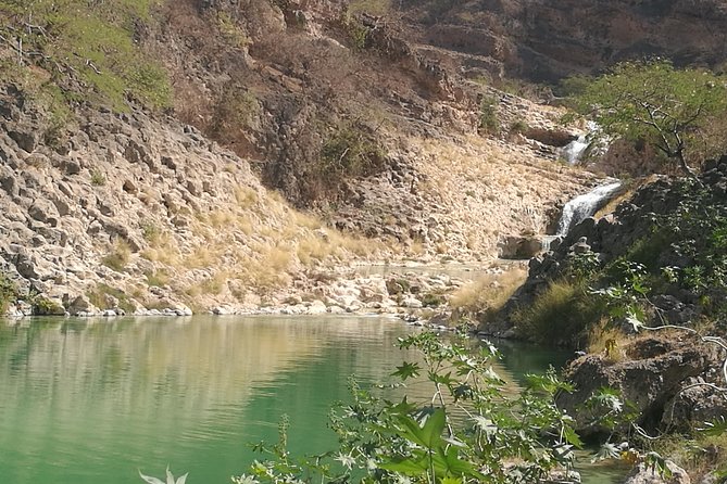 Enjoy a Full-Day Tour Uncovering East Salalah’s Hidden Gems - Price and value: what $207 per person really covers