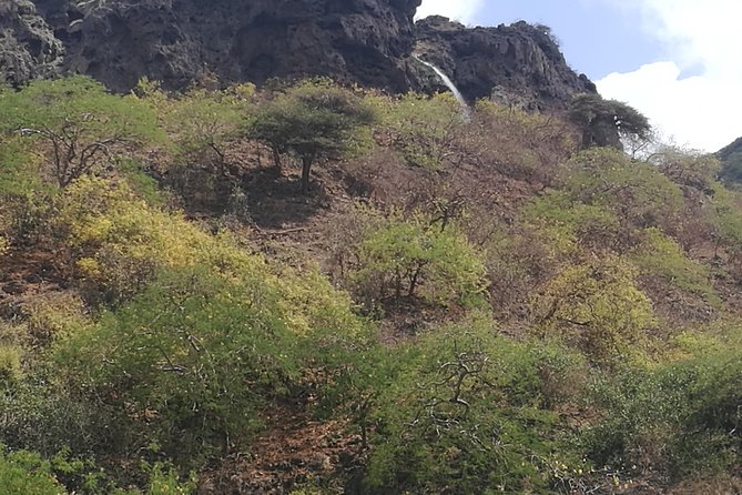 Enjoy a Full-Day Tour Uncovering East Salalah’s Hidden Gems - Stop 3: Taqah Viewpoint Cliff photos with Indian Ocean drama