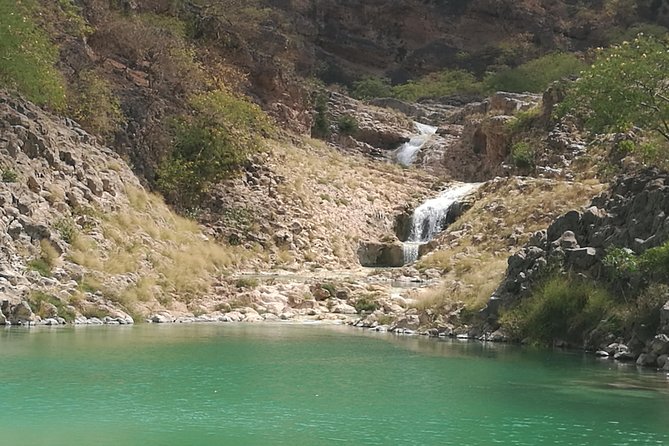 Enjoy a Full-Day Tour Uncovering East Salalah’s Hidden Gems - Stop 4: Wadi Darbat waterfalls, cool valley air, and watching herds