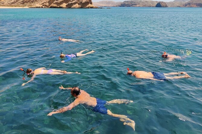 Experience Dolphin watching and snorkeling in Muscat - Dolphin watching from Marina Bandar Al Rowdha: the setup