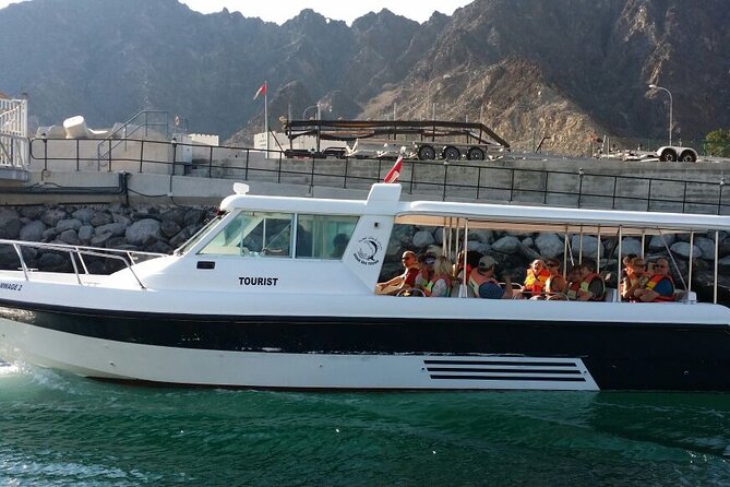Experience Dolphin watching and snorkeling in Muscat - On the water: what dolphin spotting feels like in Oman waters