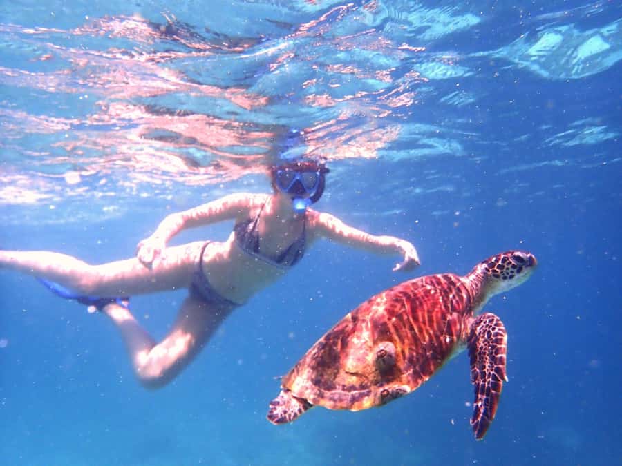 From Al-Seeb: Dimaniyat Islands Boat Trip with Snorkeling - What to bring so the day stays easy