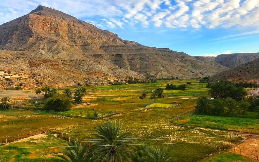 From Dubai: Musandam Khasab Tour with Boat Trip and Safari - Price and value for a group up to 4