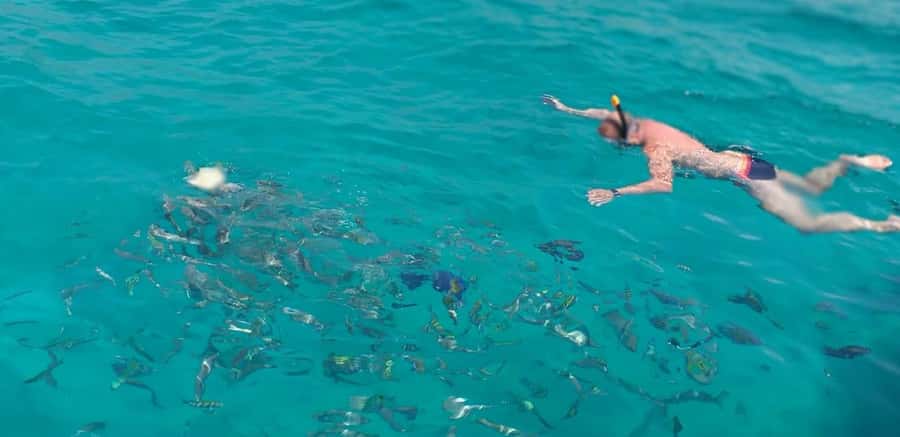 From Dubai to Norway of Arabia|Telegraph Island| Dhow Cruise - Price and Value: Is $155 Fair for a 12.5-Hour Day?