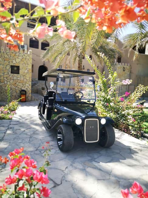 From Jebel Akhdar: Al Aqur Village Cultural Cart Tour - The classic cart ride: easy sightseeing with room for questions