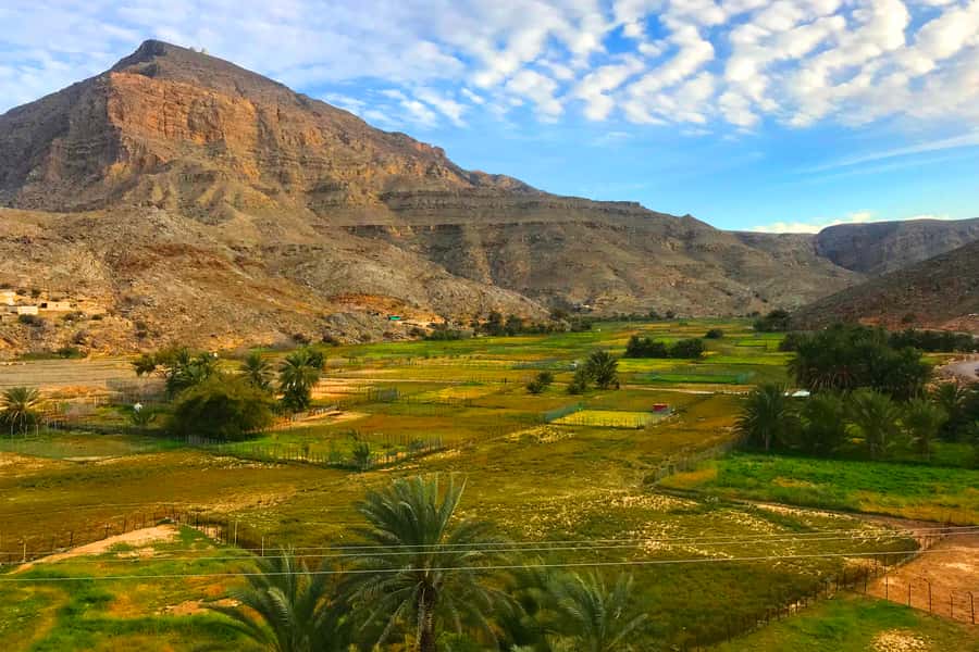 From Khasab: Half-Day Mountain Safari to Jabel Harim - Fossil wall and preserved sea life: reading the rock like a story