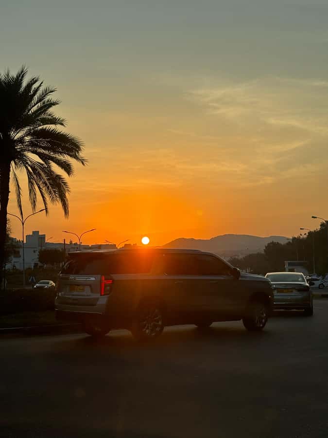 From Muscat: 6-Day Tour of City, Wadis, Desert & Mountains - Wadis day: where the pace slows and the air changes