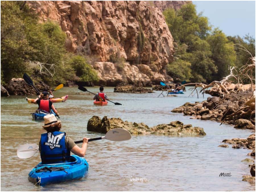 From Muscat: Al Qurum Beach Sunset Kayaking Experience - Why Al Qurum sunset kayaking works in Muscat