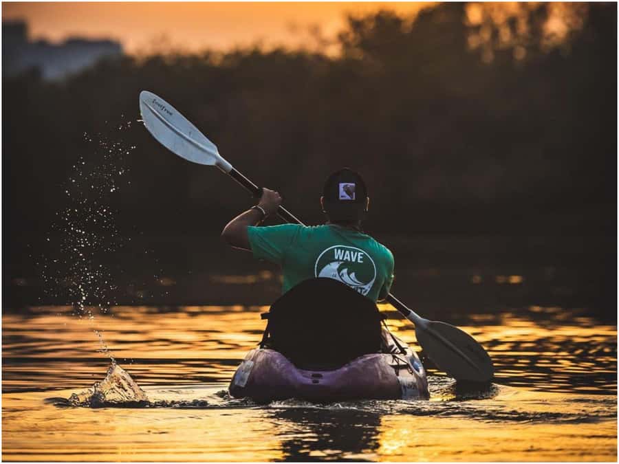 From Muscat: Al Qurum Beach Sunset Kayaking Experience - Paddling the calm water: what you can realistically see