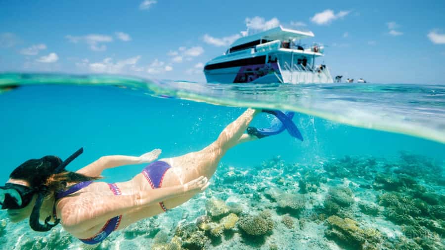 From Muscat: Dimaniyat Islands Snorkeling Tour - Why the Dimaniyat Islands feel like Oman’s real “water world”