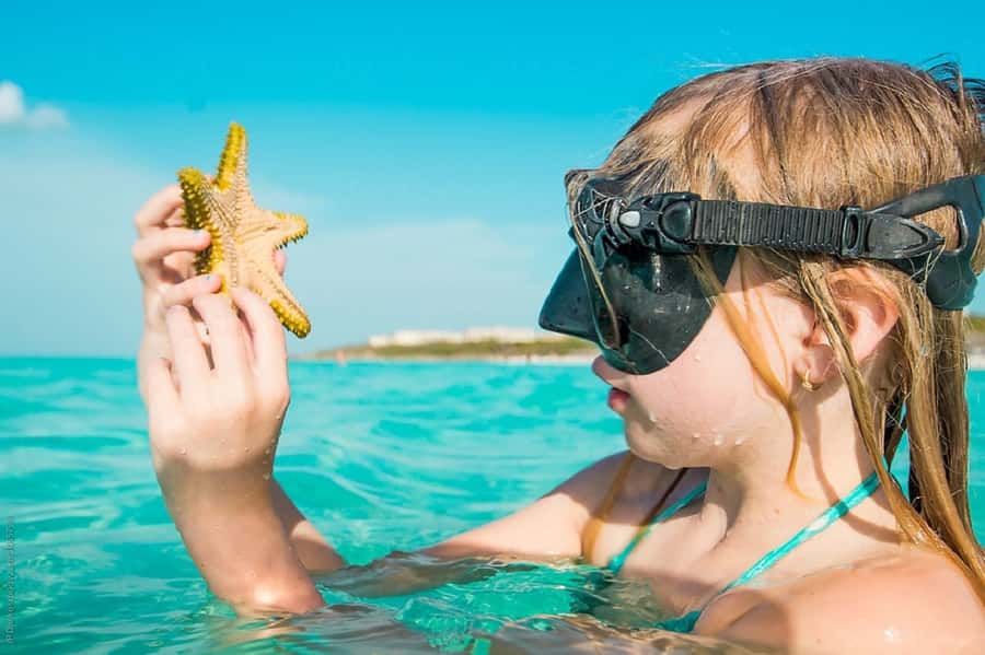 From Muscat: Dimaniyat Islands Snorkeling Tour - Two snorkeling stops: turtles first, then the coral and fish check