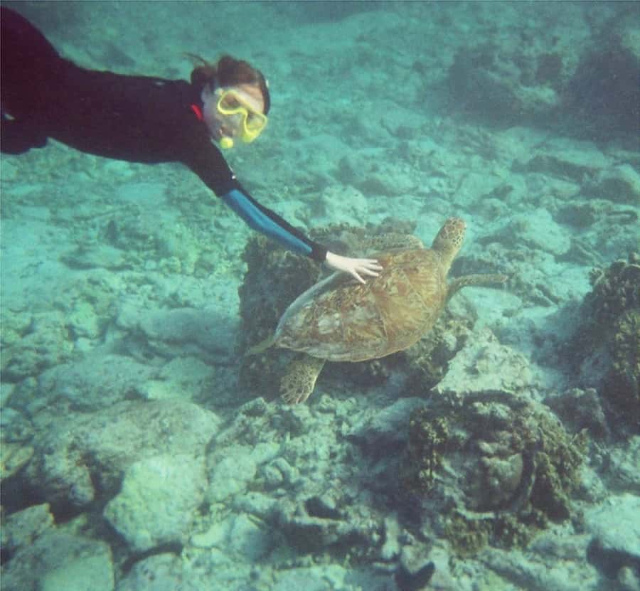 From Muscat: Dimaniyat Islands Snorkeling Tour - Price and value: why $85 can be a fair deal