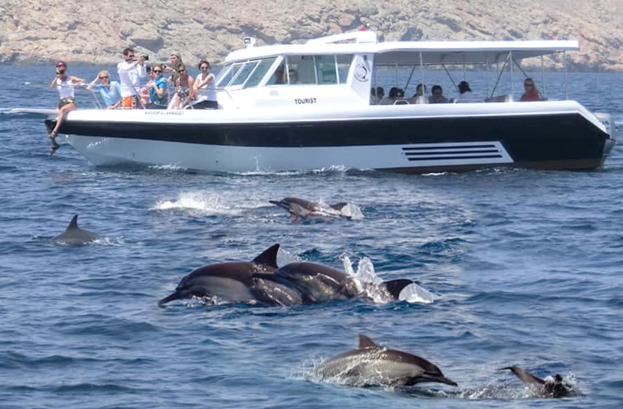 From Muscat: Discover Dolphins Day Trip - Why Dolphins Off Muscat Make a Short Trip Worth It