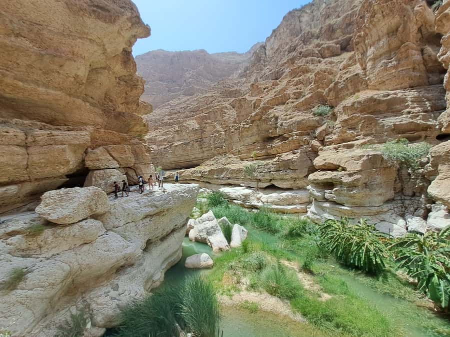 From Muscat: Guided Overnight Desert Camp Tour - Desert camp night in Wahiba Sands: sunset dune bashing and Bedouin-style comfort