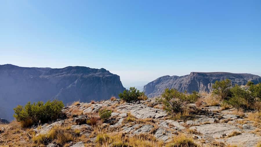 From Muscat: Nizwa and Jebel Akhdar Tour with Lunch - A day trip that turns Muscat into Nizwa and the Green Mountain