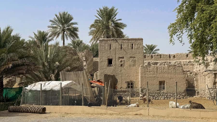 From Muscat: Nizwa and Jebel Akhdar Tour with Lunch - Lunch included, plus how the meal fits the pacing