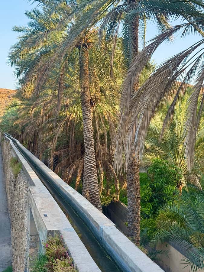 From Muscat: Nizwa Fort, Souq, falaj & Museum Full Day Tour - Oman Through the Ages Museum: Fast Context Without Feeling Stuck
