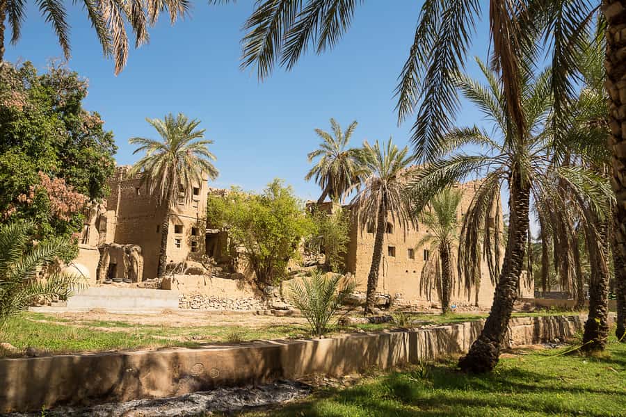 From Muscat: Nizwa & Oman Across Ages Museum - Guides make the difference, and this tour has a strong track record