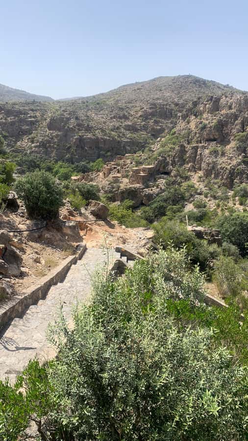 From Muscat: Private Nizwa and Jabel Akhdar-Shams with Lunch - Birkat Al Mouz Ruins: UNESCO World Heritage in a Calm Setting