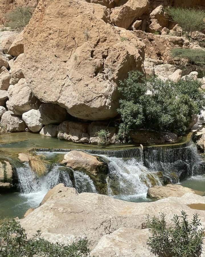 From Muscat:Private Wadi Shab and Bimmah SinkHole Tour - Price and Value: What $59 Covers for a 4-Hour Private Day