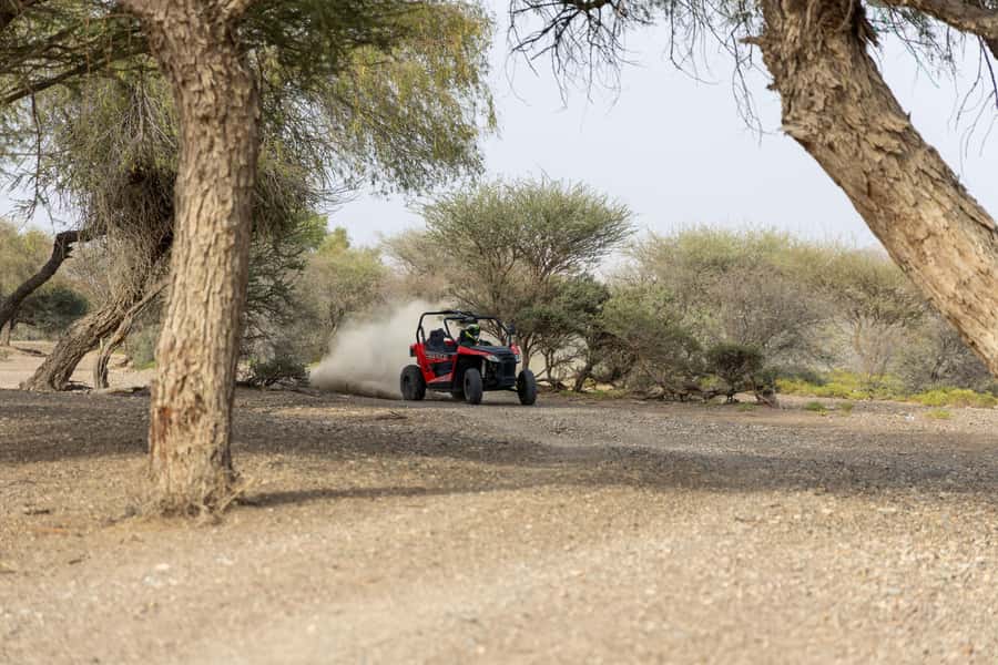 From Muscat: Self-Drive ATV Adventure in Wadi Al Rak - Who should go, and who should skip it