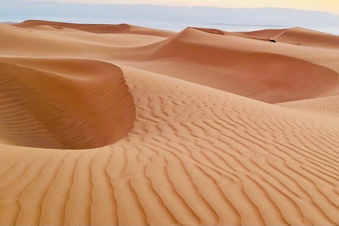 From Muscat: Wadi Hawar and Wahiba Sands Desert Tour - The Wahiba Sands Stop: Bedouin Coffee, Dates, and Optional Camel Time