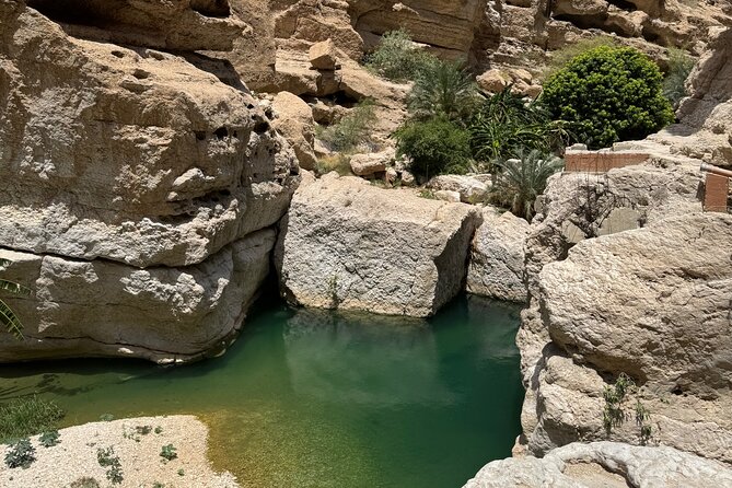 From Muscat Wadi Shab and Bimmah Sinkhole Tour - The sinkhole stop: a contrasting nature moment in the same day
