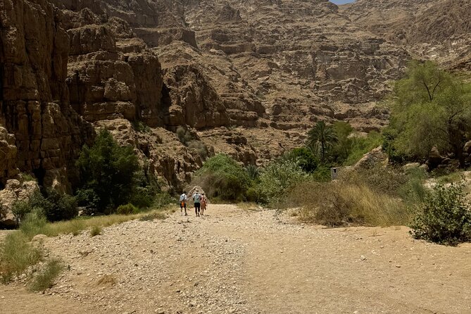 From Muscat Wadi Shab and Bimmah Sinkhole Tour - Guides, group size, and how to get the best experience