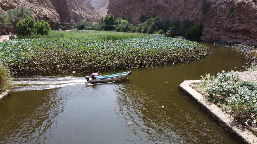 From Muscat: Wadi Shab & Bimmah Sinkhole Full-Day Tour - Lunch break in between swims, why this matters more than you think