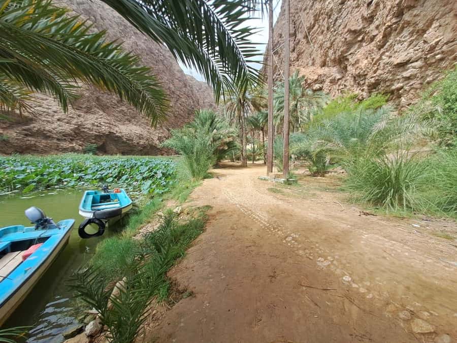 From Muscat: Wadi Shab Expedition - Wadi Shab, the day-trip that feels like a mini expedition