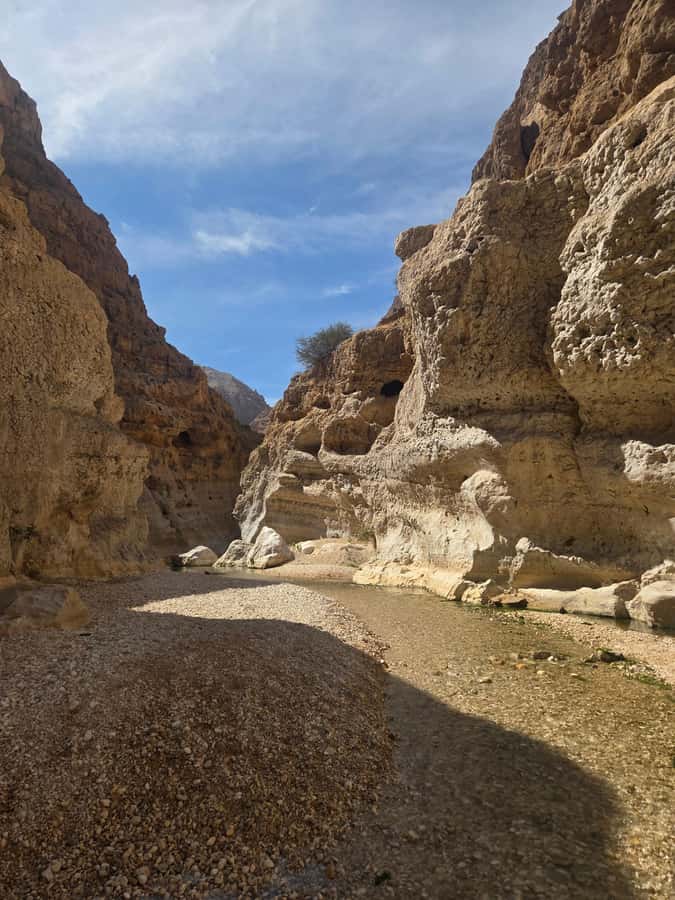 From Muscat: Wadi Shab Expedition - The guide, Nasser Al Harthi, and why guidance matters here