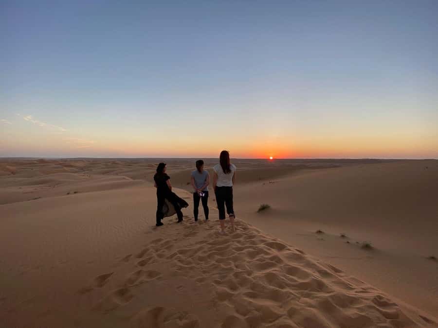 From Muscat: Wahiba Sands Sunset with Desert Camp Dinner - Dunes Bashing: Where the Adrenaline Comes In