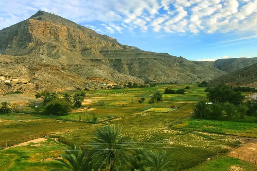 From Ras Al Khaima : Dolphin Watching and Jabal Harim Safari - Timing and the rhythm of this 12-hour day