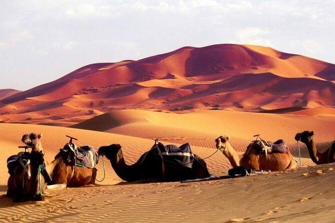 Full-Day Desert Safari Jeep Tour in Ash Sharqiyah Governorate - Wadi Bani Khalid: emerald pools, year-round water, and an easy reset