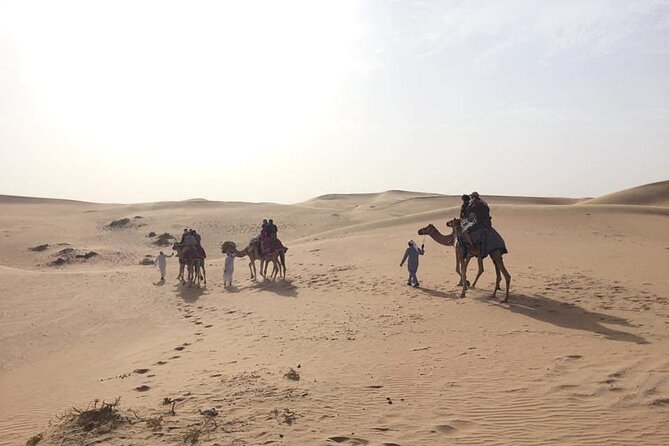 Full-Day Desert Safari Jeep Tour in Ash Sharqiyah Governorate - Guides, group size, and what you can expect from the experience style