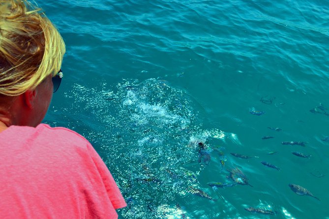 Full Day Dhow Cruise to Khor Sham with lunch & Snorkeling (Shore excursions) - Cruising Khor Sham Fjord on a Traditional Omani Dhow