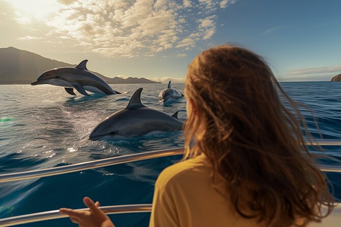 Full day Dhow: Khasab, Musandam: Dolphins, Snorkeling & Fjords - Key highlights you will feel right away