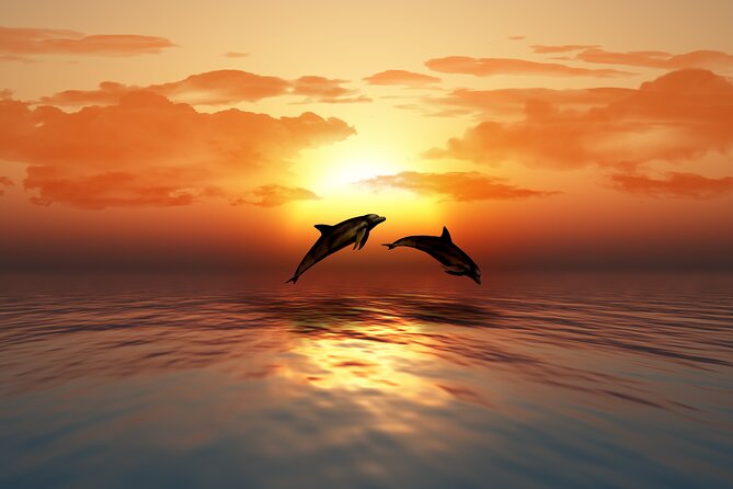 Full day Dhow: Khasab, Musandam: Dolphins, Snorkeling & Fjords - Snorkeling and swimming time, plus kayaking in the coves