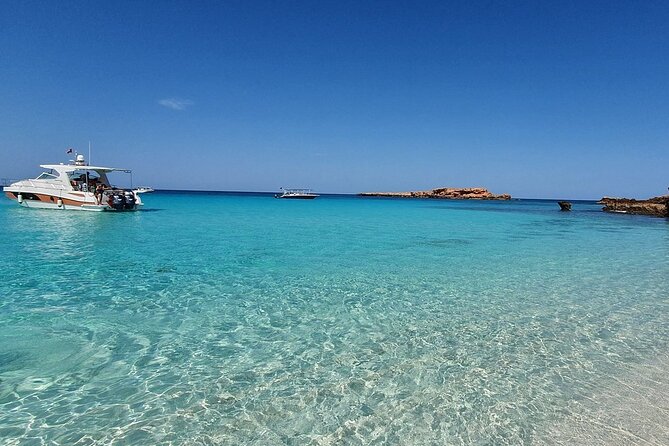 Full Day Dimaniyat Island Excursion - Key highlights worth booking for