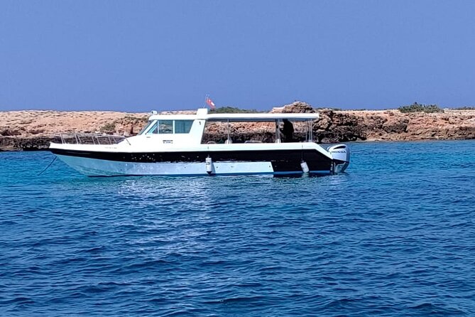 Full Day Dimaniyat Island Excursion - Price and value: what $145 gets you in real terms