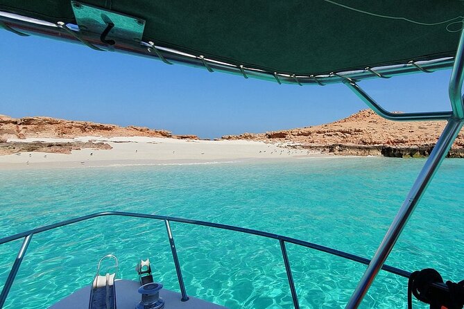 Full Day Dimaniyat Island Excursion - Who should book this Dimaniyat Island excursion