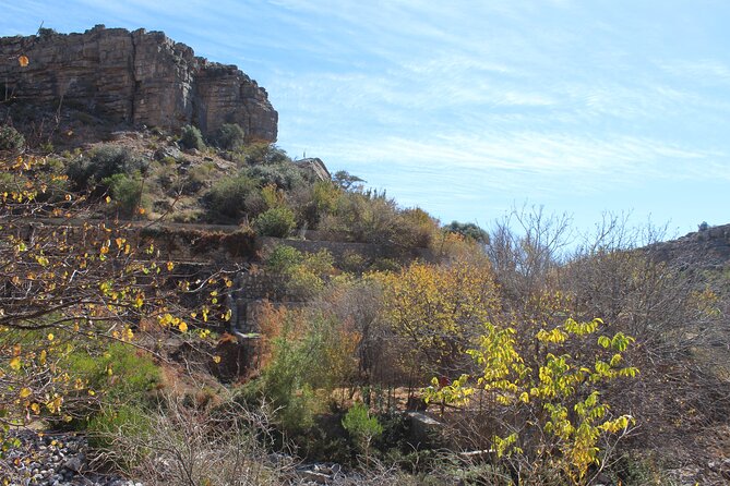 Full-Day Guided Tour to Jebel Akhdar - Price and logistics: what $202 buys you, and how to plan lunch