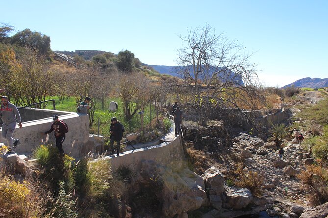 Full-Day Guided Tour to Jebel Akhdar - What it feels like on the ground: views, pace, and photo stops