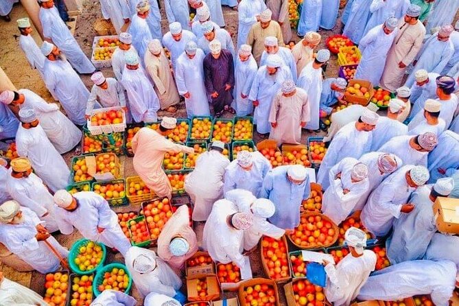 Full Day Private Historical Tour from Muscat to Nizwa Region - Aflaj Irrigation Systems of Al Kattmyn and the Walk Up Toward Jebel Akhdar