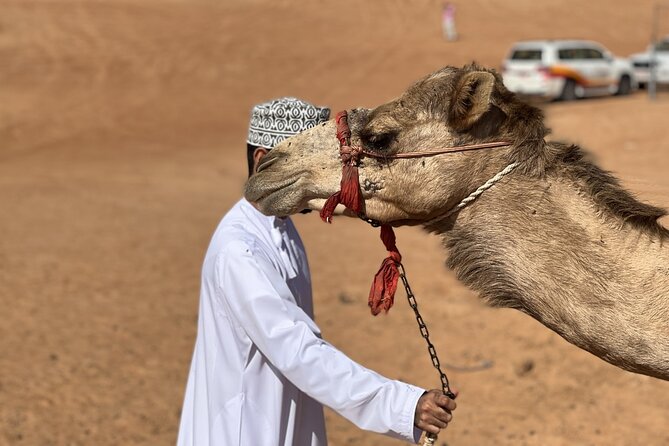Full-Day Private Tour of Wahiba Sands Desert and Wadi Bani Khalid - Wahiba Sands, Ash-Sharqiyah, and the Bedouin House With Asaad