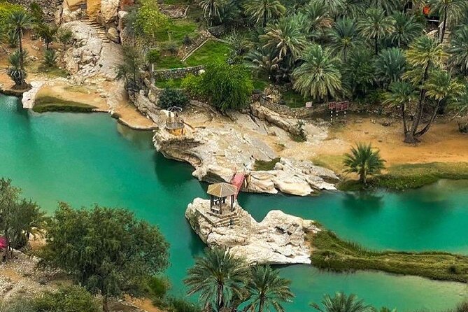 Full-Day Private Tour of Wahiba Sands Desert and Wadi Bani Khalid - Pickup, Private Vehicle, and Why the Timing Feels Reasonable