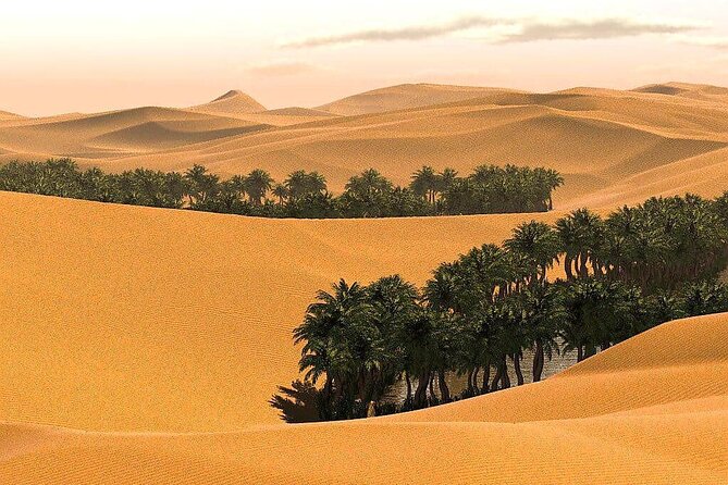 Full-Day Private Wahiba Sands Desert and Wadi Bani Khalid Tour - Tour Pace, Comfort, and the Guide Effect (Khalfan, Youssef, Ahmed, Muneer)