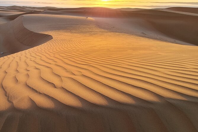 Full-Day Private Wahiba Sands Desert and Wadi Bani Khalid Tour - Price and Value: What You Are Really Paying for at $207 Per Person